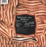 Aphex Twin-Richard D. James Album-LP (Vinyl)-2