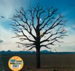 Biffy Clyro-Opposites-LP (Vinyl)-1