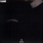 Birds In Row-We Already Lost The World-LP (Vinyl)-02