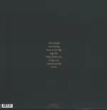 Black Mountain-Destroyer-LP (Vinyl)-2