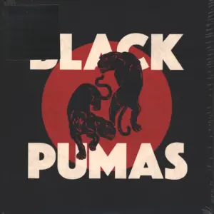 Black Pumas-Black Pumas-LP (Vinyl)-1