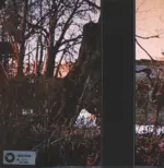 Black Sabbath-Black Sabbath-LP (Vinyl)-2