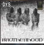 D.Y.S.-Brotherhood-LP (Vinyl)-1