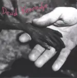 Dead Kennedys-Plastic Surgery Disasters-LP (Vinyl)-1