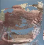 Deerhunter-Cryptograms / Fluorescent Grey-LP (Vinyl)-2