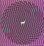 Deerhunter-Cryptograms / Fluorescent Grey-LP (Vinyl)-1