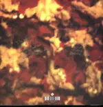 Dinosaur Jr-Green Mind-LP (Vinyl)-2