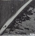 Earth-A Bureaucratic Desire For Extra-Capsular Extraction-LP Vinyl – Bild 2