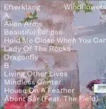 Efterklang-Windflowers-LP (Vinyl)-2