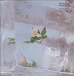 Efterklang-Windflowers-LP (Vinyl)-1