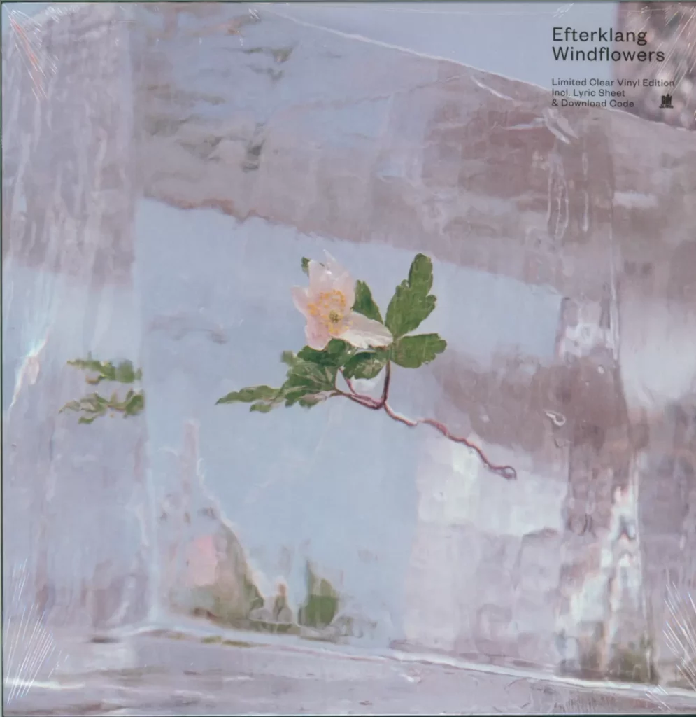 Efterklang-Windflowers-LP (Vinyl)-1
