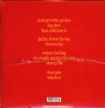 Fontaines D.C.-Skinty Fia-LP (Vinyl)-2