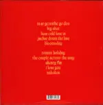 Fontaines D.C.-Skinty Fia-LP (Vinyl)-2