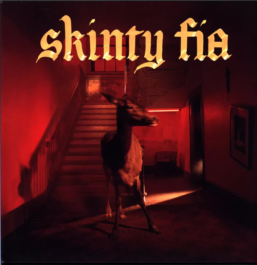 Fontaines D.C.-Skinty Fia-LP (Vinyl)-1