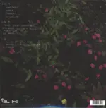 Garbage-Strange Little Birds-LP (Vinyl)-2