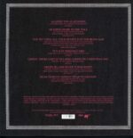Get Well Soon-Songs Against The Glaciation-12" Maxi Single (Vinyl)-02