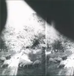 Godspeed You Black Emperor-Asunder