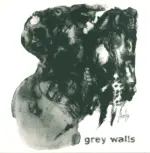 Grey Walls-Asche-LP (Vinyl)-1