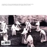 Have A Nice Life-The Unnatural World-LP (Vinyl)-2
