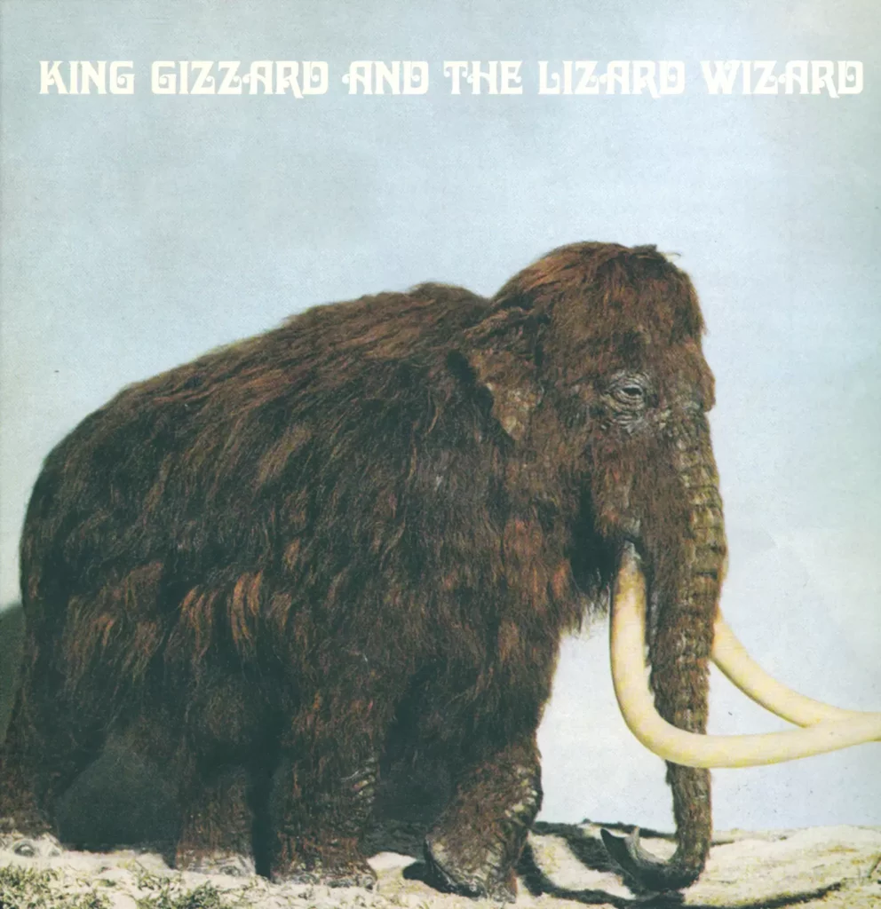 King Gizzard And The Lizard Wizard-Polygondwanaland-LP (Vinyl)-1
