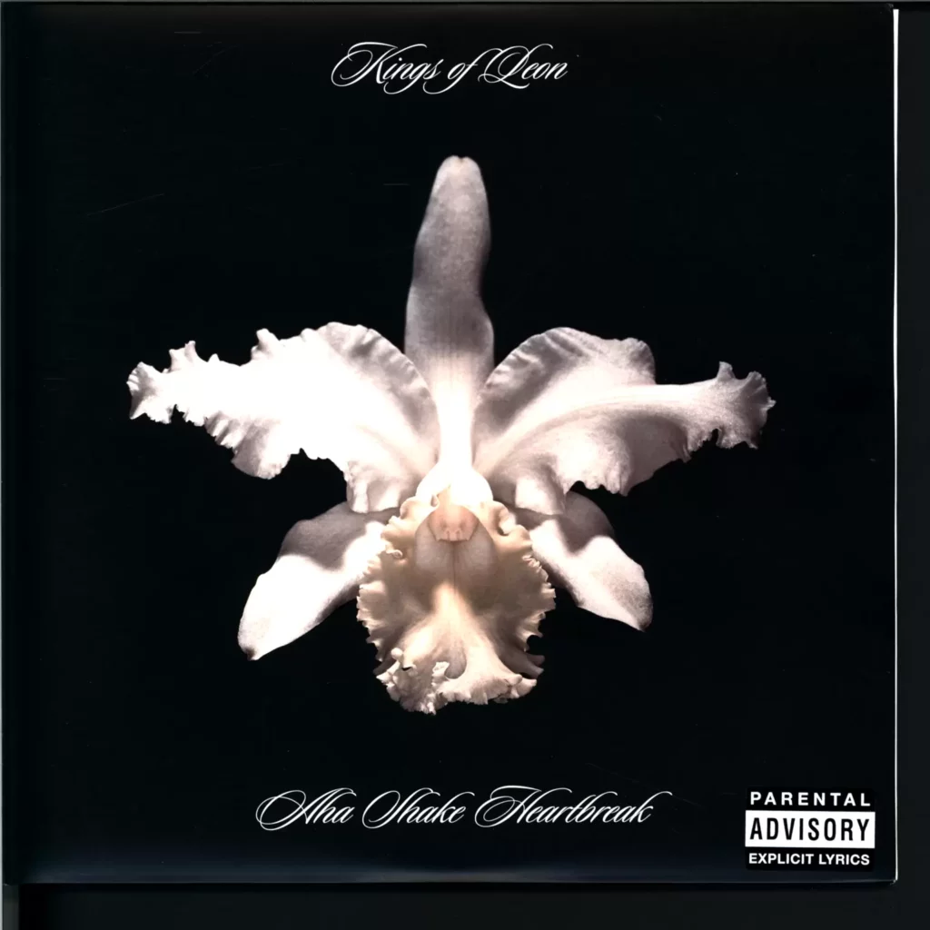 Kings Of Leon-Aha Shake Heartbreak-10" Vinyl-1