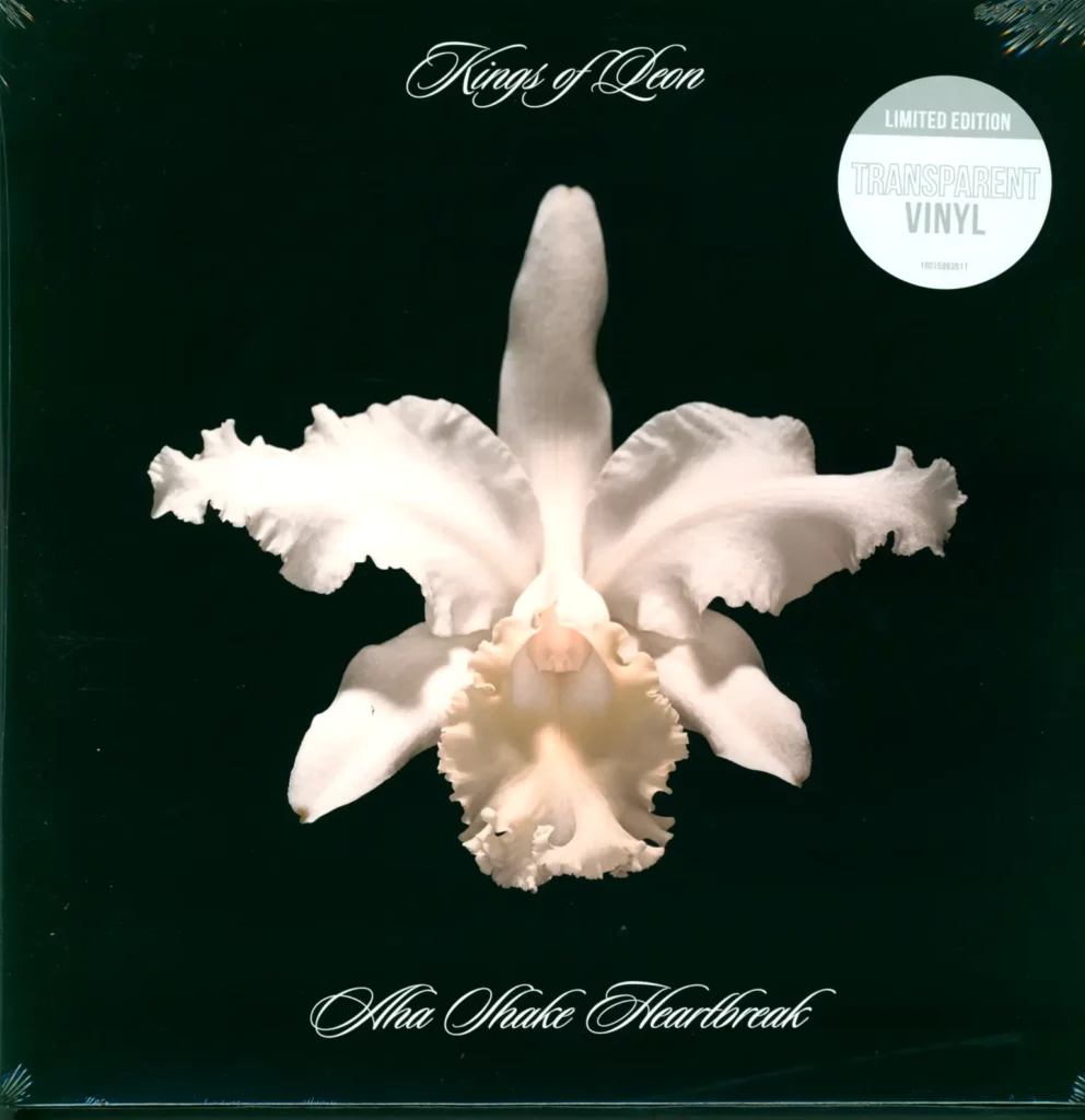 Kings Of Leon-Aha Shake Heartbreak-LP (Vinyl)-1