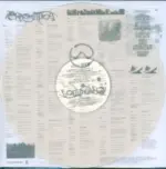 Lady Gaga-Chromatica-LP (Vinyl)-2