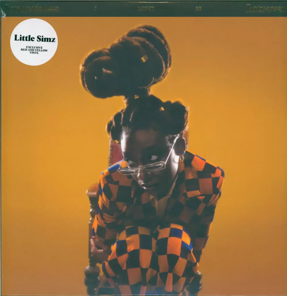 Little Simz-Sometimes I Might Be Introvert-LP (Vinyl)-1