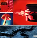 Ministry-Filth Pig-LP (Vinyl)-2