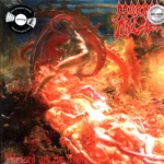 Morbid Angel-Blessed Are The Sick-LP (Vinyl)-1