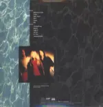 Nirvana-Nevermind-LP (Vinyl)-2