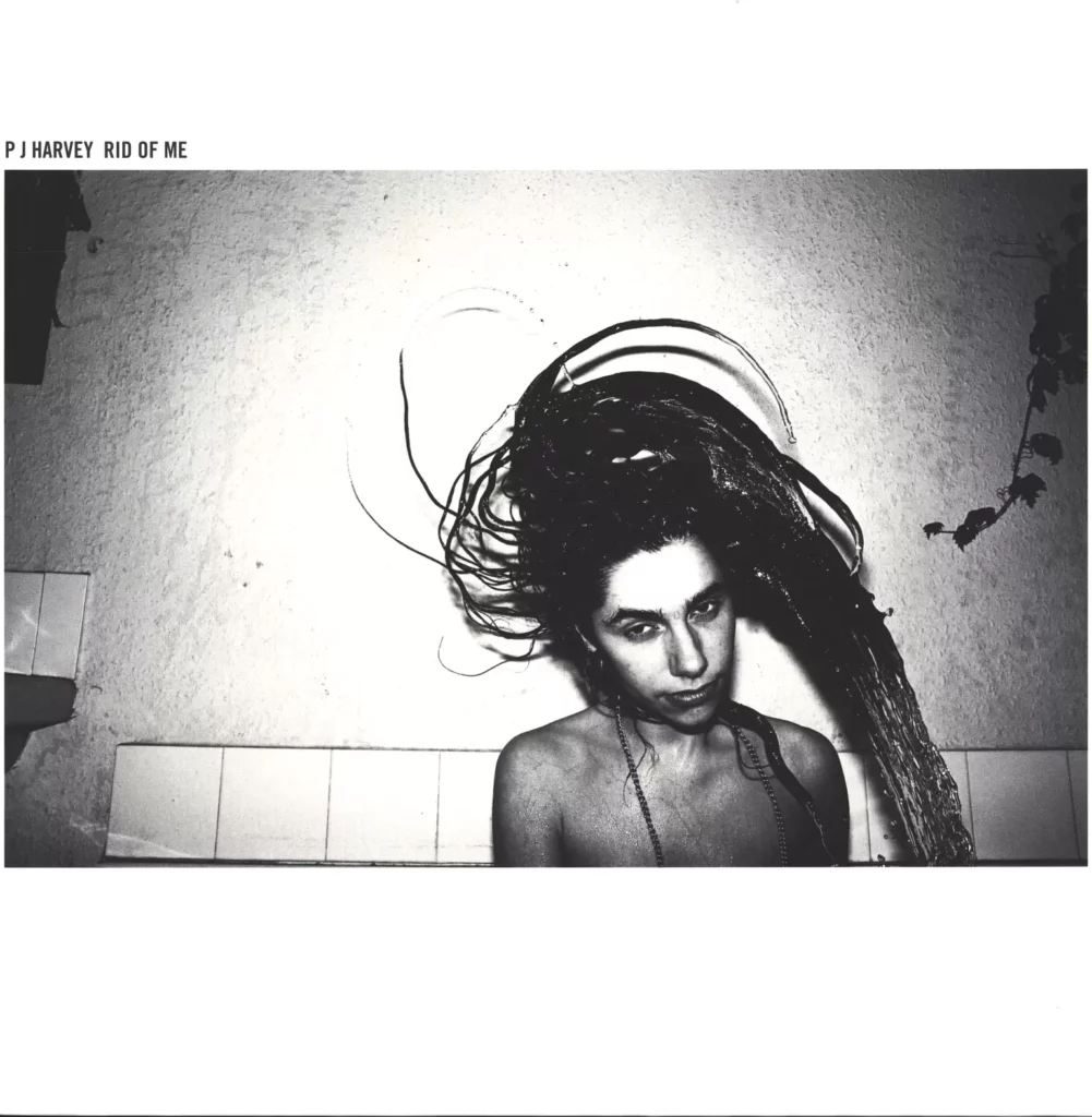PJ Harvey-Rid Of Me-LP (Vinyl)-1
