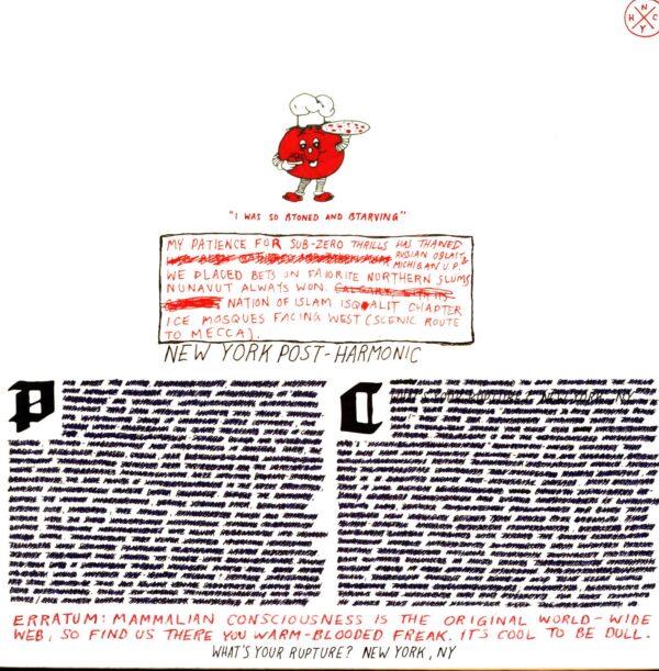 Parquet Courts-Light Up Gold-LP (Vinyl)-02