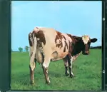 Pink Floyd-Atom Heart Mother-CD-1