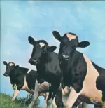 Pink Floyd-Atom Heart Mother-LP (Vinyl)-2