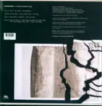 Radiohead-A Moon Shaped Pool-LP (Vinyl)-2