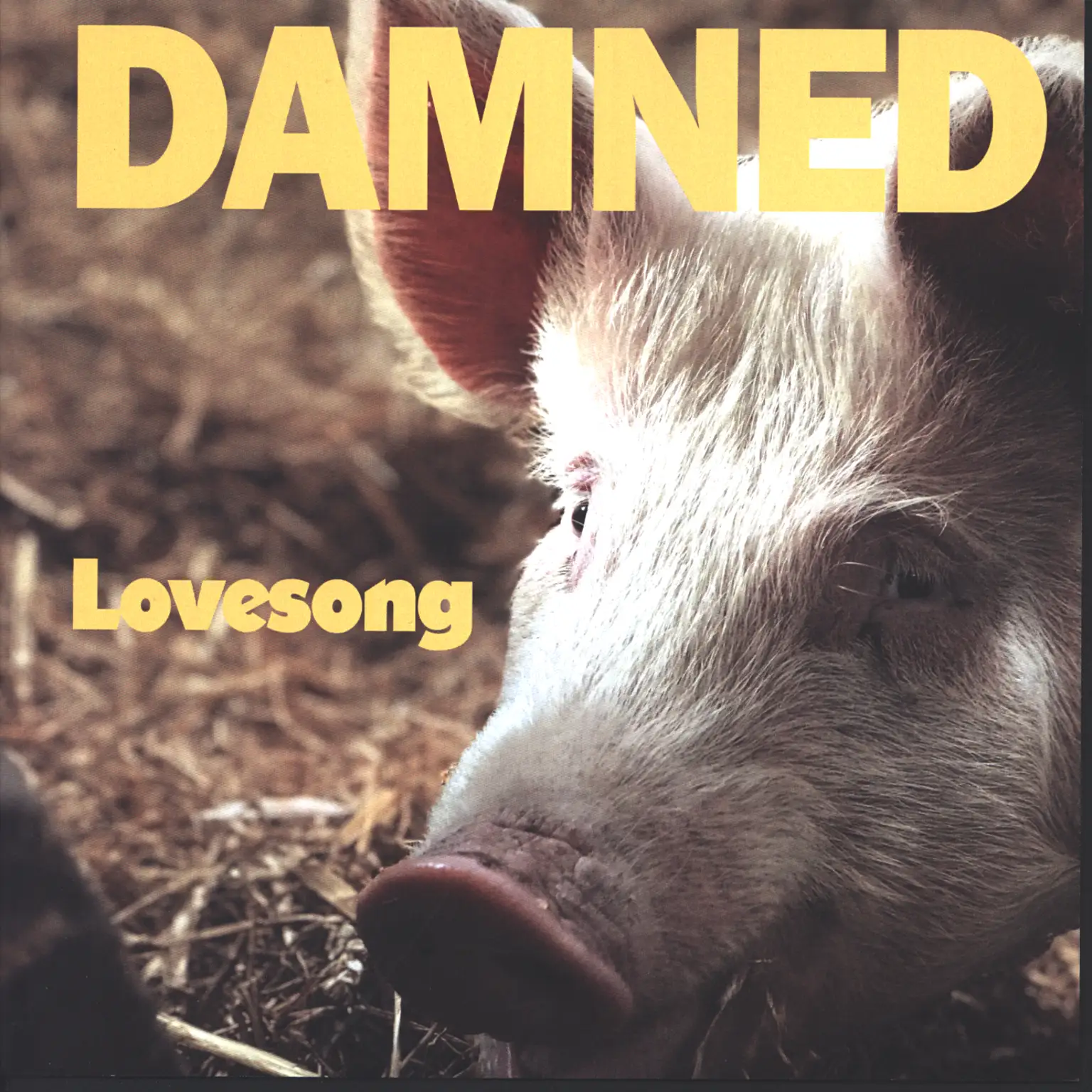 Razor-Smilez-Split-7-7-Single-Vinyl Razor Smilez-Split 7"-7" Single (Vinyl)-1