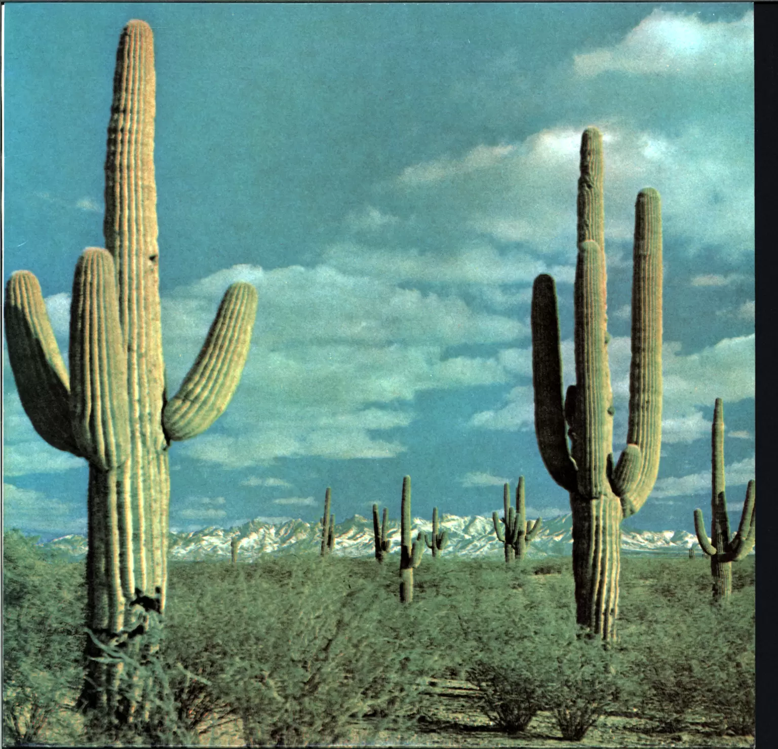 Rocket-From-the-Crypt-The-State-Of-Art-Is-On-Fire-10-Vinyl Rocket From the Crypt-The State Of Art Is On Fire-10" Vinyl-1