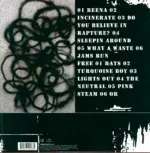 Sonic Youth-Rather Ripped-LP (Vinyl)-2