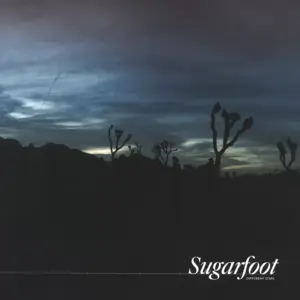 Sugarfoot-Different Stars-LP (Vinyl)-1