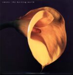 Swans-The Burning World-LP (Vinyl)-01