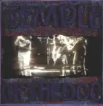 Temple Of the Dog-Temple Of The Dog-LP (Vinyl)-1