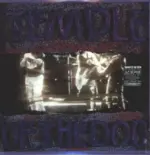 Temple Of the Dog-Temple Of The Dog-LP (Vinyl)-1