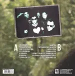 Terrorgruppe-Tiergarten-LP (Vinyl)-2