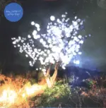 The Notwist-Vertigo Days-LP (Vinyl)-1