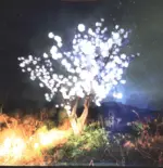 The Notwist-Vertigo Days-LP (Vinyl)-1