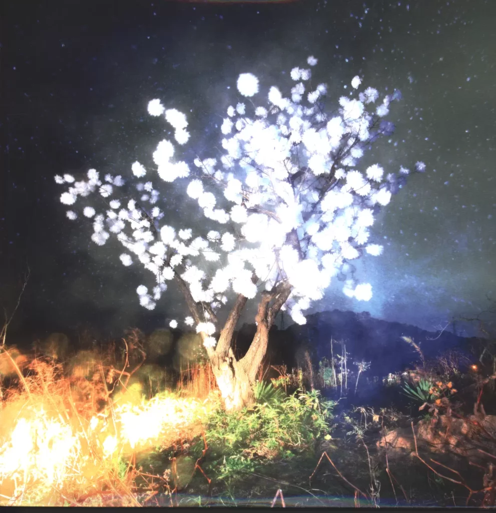 The Notwist-Vertigo Days-LP (Vinyl)-1