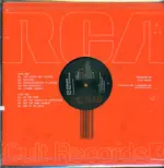 The Strokes-The New Abnormal-LP (Vinyl)-2