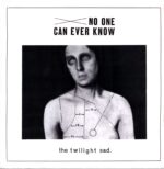 The Twilight Sad-No One Can Ever Know-LP (Vinyl)-01