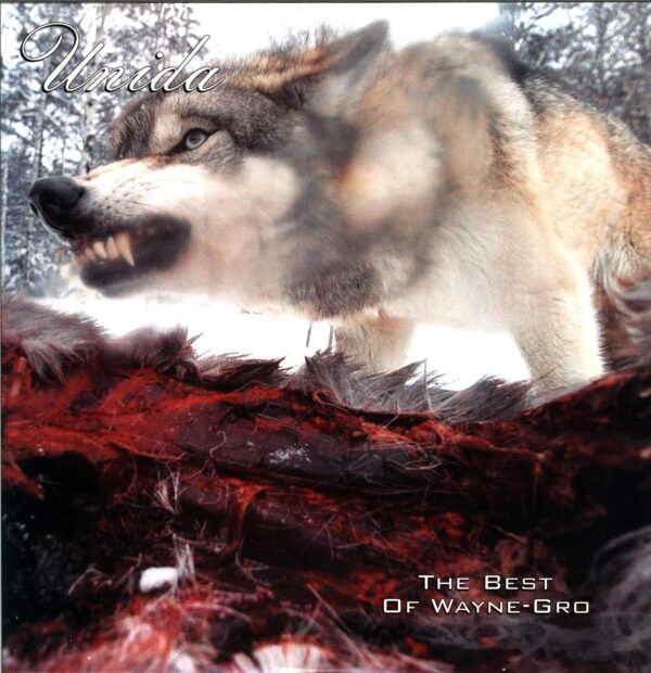 Unida-The Best Of Wayne-Gro / Coming Down The Mountain-LP (Vinyl)-01